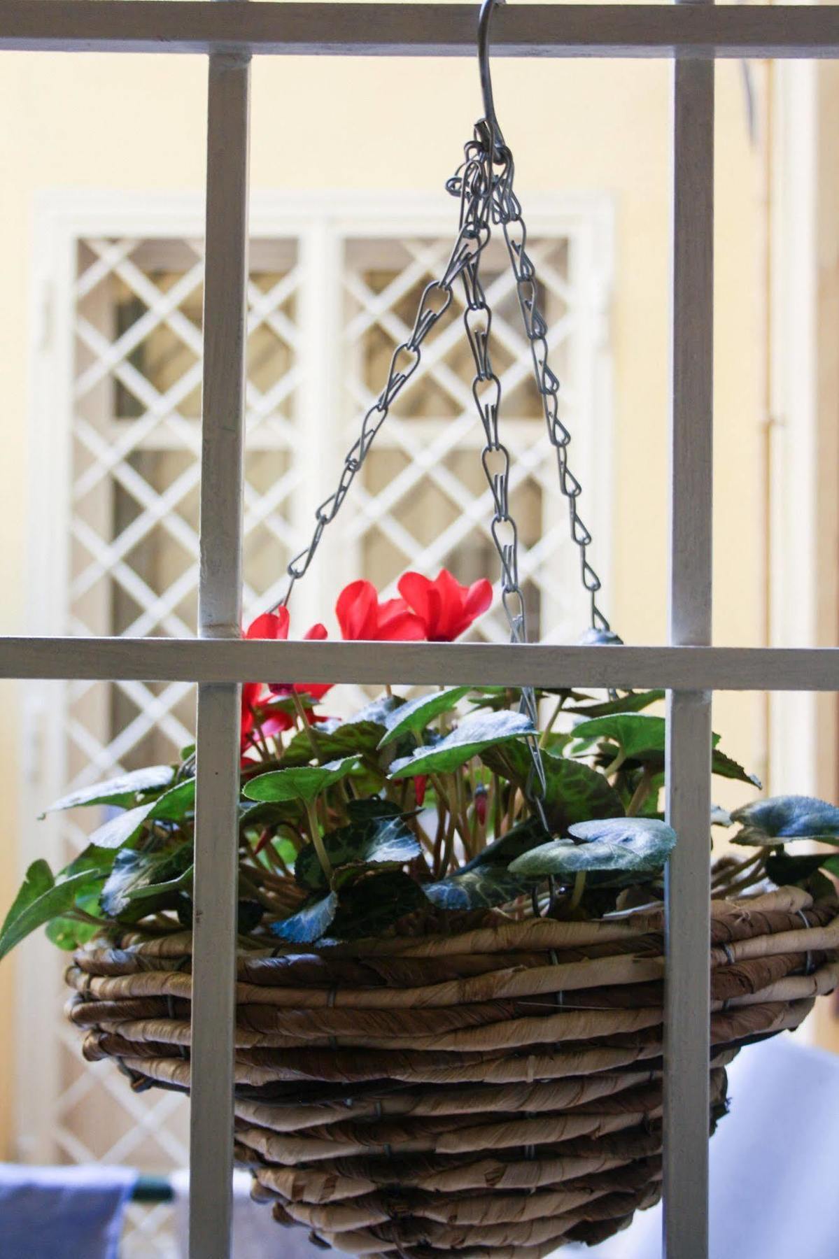 Salotto Vaticano B&B Rzym Zewnętrze zdjęcie